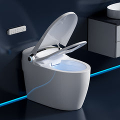 Intelligent Toilet 7709-H