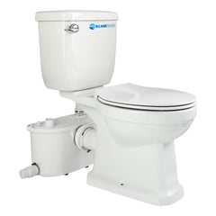 Elongated 500W Macerator Toilet for Basement LS-FLO500 Dreamsani