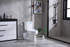 Elongated 500W Macerator Toilet for Basement LS-FLO500 Dreamsani