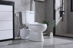 Elongated 500W Macerator Toilet for Basement LS-FLO500 Dreamsani