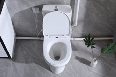 Elongated 500W Macerator Toilet for Basement LS-FLO500 Dreamsani