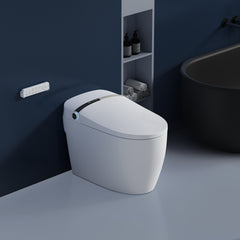 Intelligent Toilet 7709-H