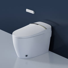 Intelligent Toilet 7709-H