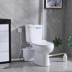 Elongated 500W Macerator Toilet for Basement LS-FLO500 Dreamsani