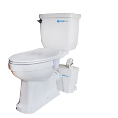 Factory Direct Sales Macerator Toilet with 500W Pump LS-FLO500 Dreamsani