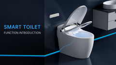 Intelligent Toilet 7709-H