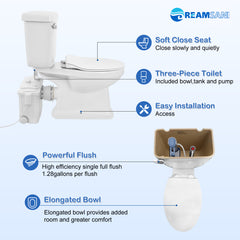 Factory Direct Sales Macerator Toilet with 500W Pump LS-FLO500 Dreamsani